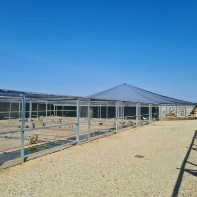 AGRIZOO Bra CN 01