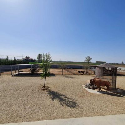 AGRIZOO Bra CN 05