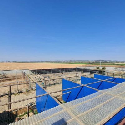 AGRIZOO Bra CN 06