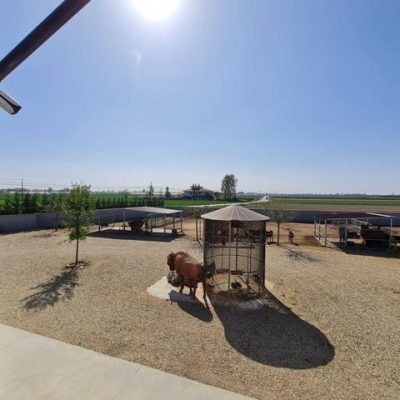 AGRIZOO Bra CN 07