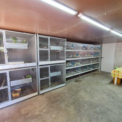AGRIZOO Bra CN 08